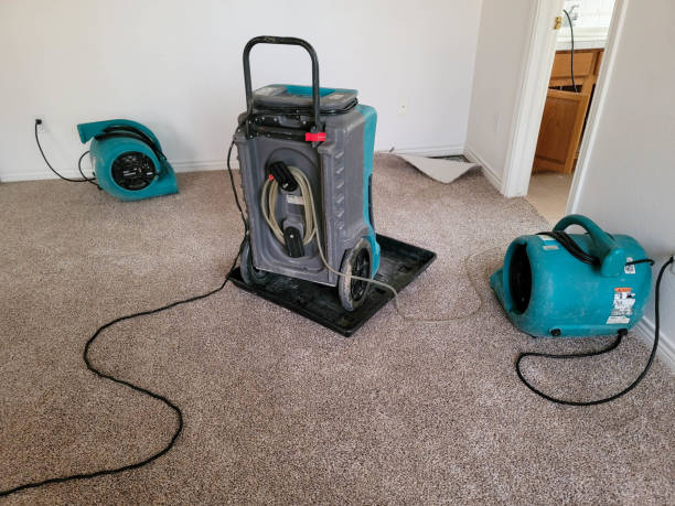 Best Water damage contractors near me  in Kings Beach, CA