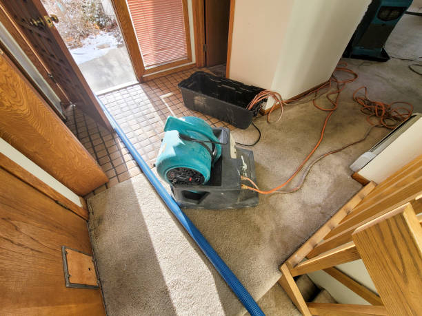 Best Basement water damage restoration  in Kings Beach, CA