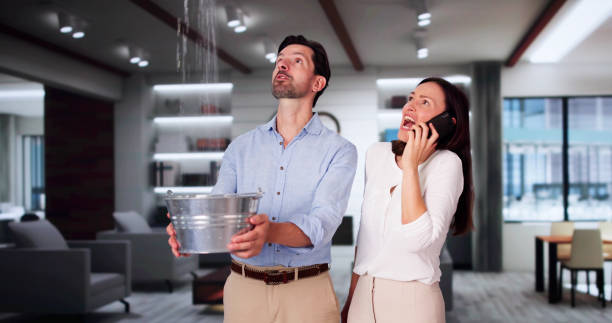 Best Ceiling water damage repair  in Kings Beach, CA