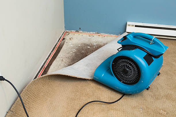 Fire Damage Restoration in Kings Beach, CA